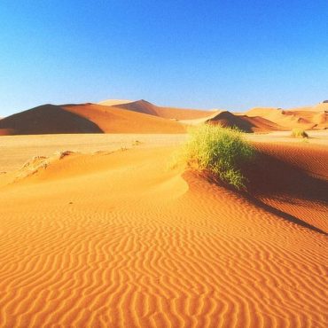 Namib-Wüste - ein Touristen-Highlight; © Daniela Borcher/Wikimedia Commons