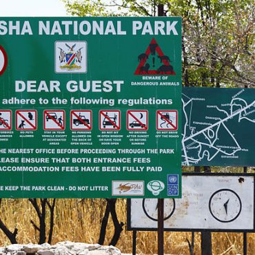 Etosha Nationalpark © Alchemist-hp-Wikimedia_Commons
