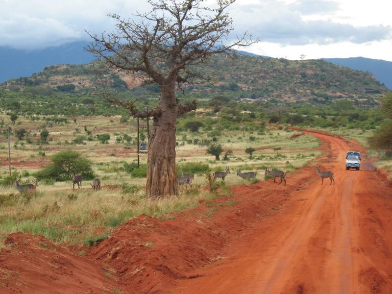 Typische Landschaft in Kenia; © Simone Roda/Wikimedia Commons