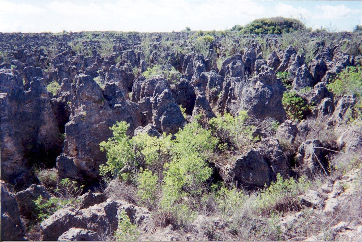 Phosphatabbau auf der Pazifikinsel Nauru hat zu großen Umweltproblemen geführt; © Wikimedia Commons