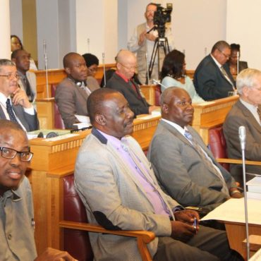 Abgeordnete in der Nationalversammlung (Archivaufnahme); © Joseph Nekaya/NAMPA