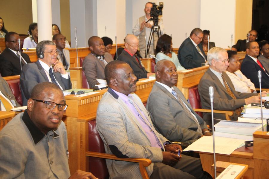 Abgeordnete in der Nationalversammlung (Archivaufnahme); © Joseph Nekaya/NAMPA