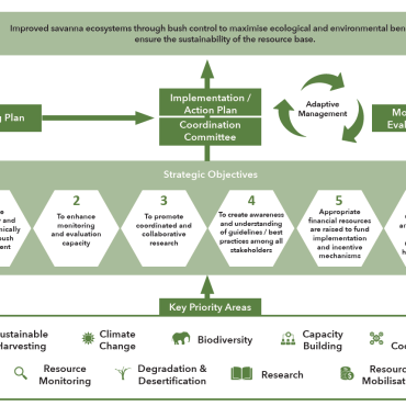 Biomasse-Strategie für die kommenden fünf Jahre; © MEFT