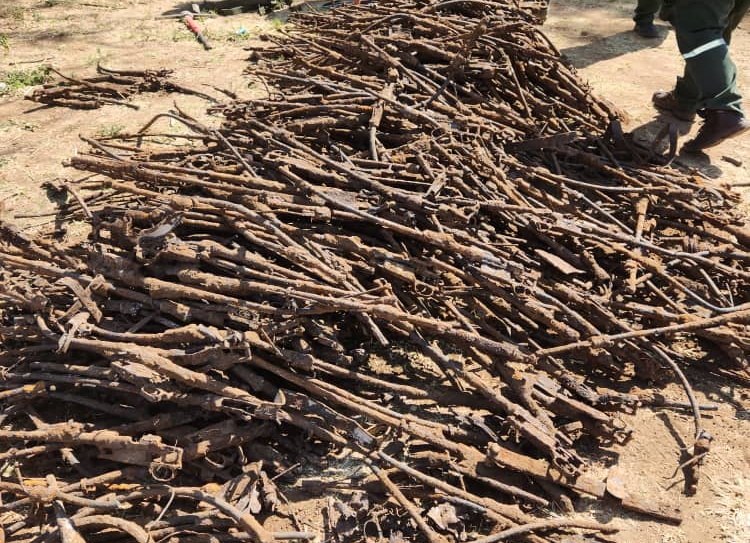 Mehr als 1000 Gewehre wurden bei Grabungen in Tsumeb entdeckt; © Contributed