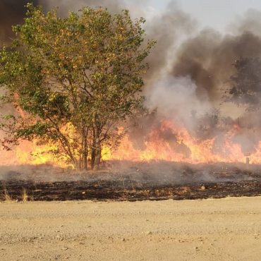 Aktuell brennen mehrere Veldfeuer nahe des Etosha-Nationalparks; © MEFT