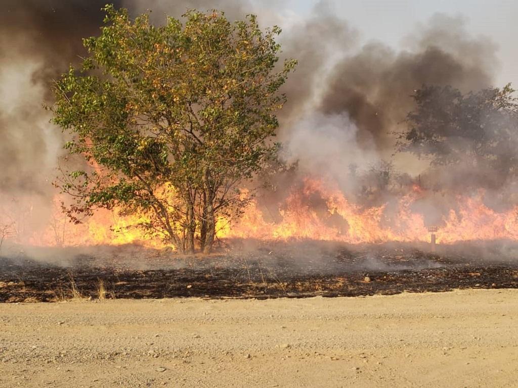 Veldbrände: bisher über 900.000 Hektar betroffen