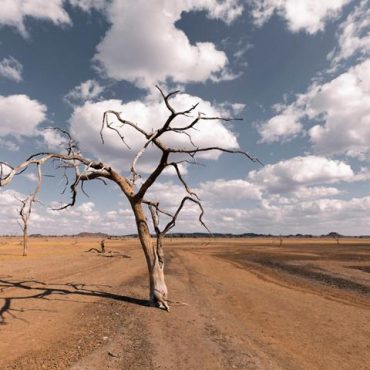 Namibia will seine Treibhausgasemissionen bis 2030 um 91 Prozent reduzieren; © Cavan Images/iStock