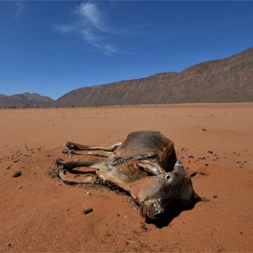 Namibia wird regelmäßig von extremer Trockenheit heimgesucht (Kunene-Region, Aufnahme aus dem Jahr 2020); © Frances Valdes/iStock