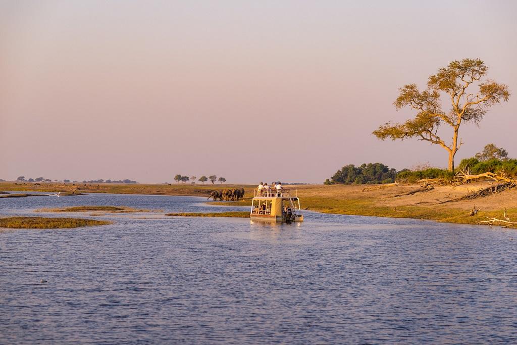 Touristen bei einer Bootsfahrt auf dem Chobe; © fbxx/iStock